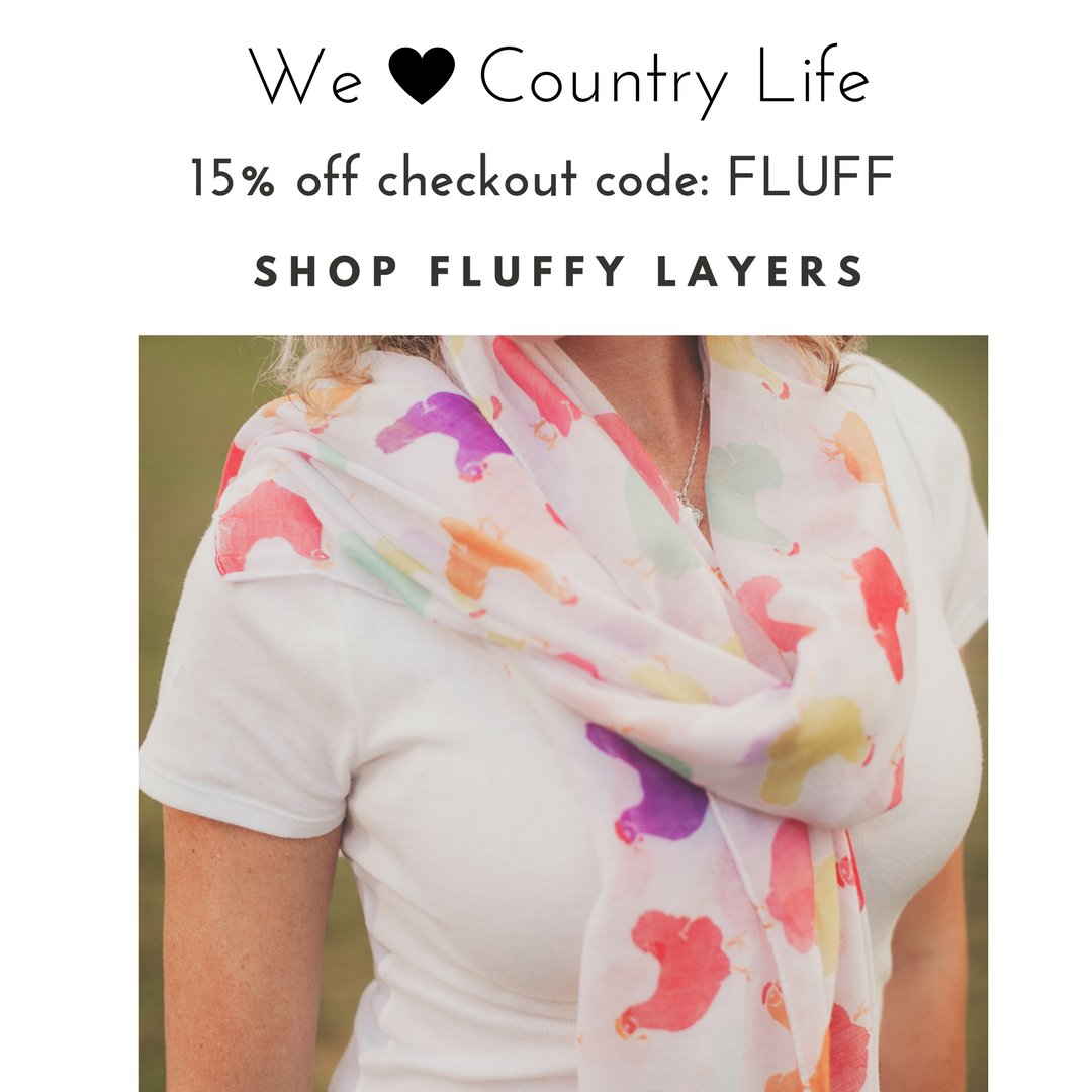 fluffylayers's tweet image. Enjoy 15% off with coupon code: FLUFF
fluffylayers.com/shop #fluffylayers #shopfluffy #fluffyfans #crazychickenlady #backyardchickens