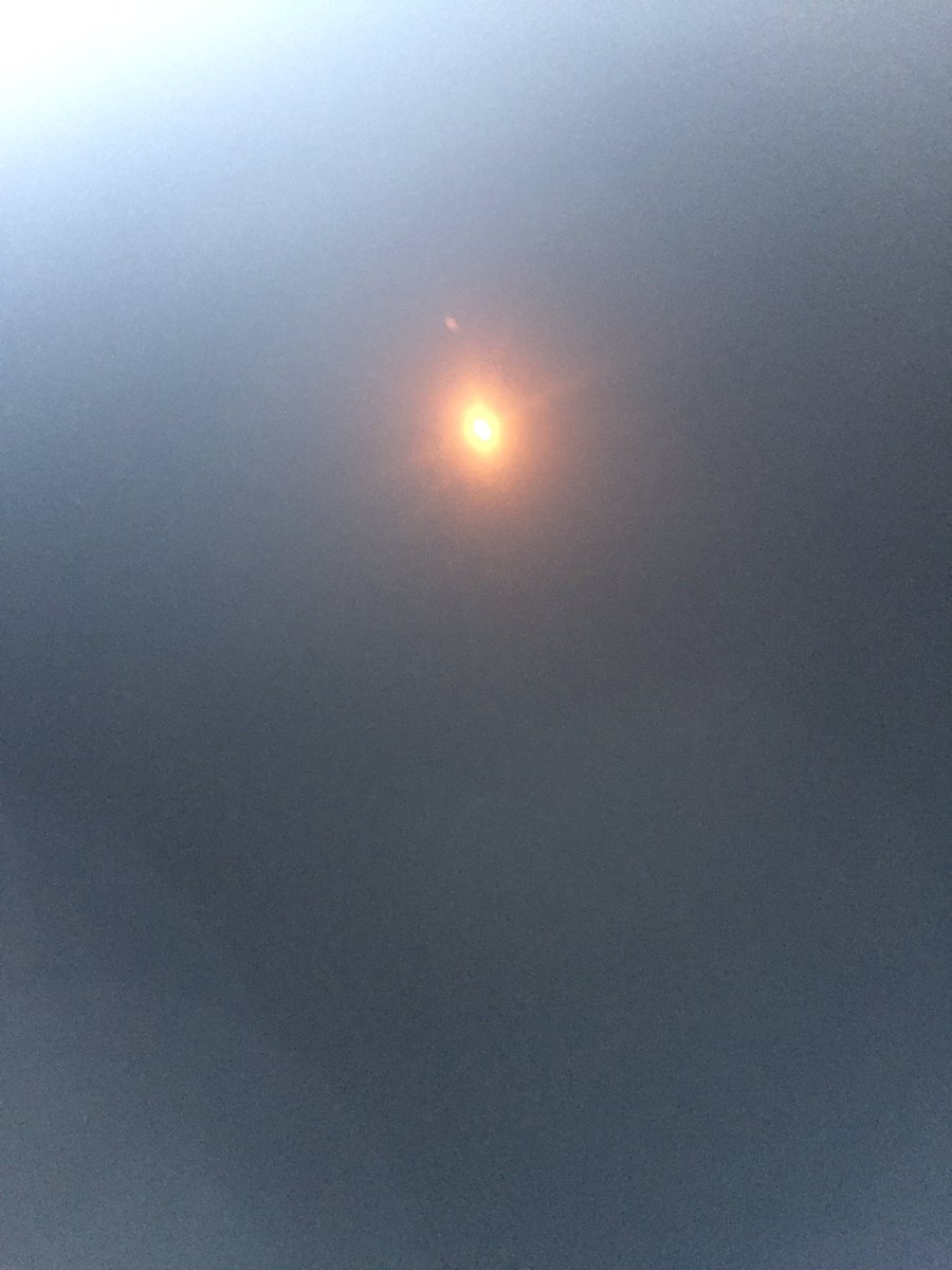 CoachAWheatley's tweet photo. We are hanging out in TN. We have contact #illini #illinitrack #SolarEclipse2017 https://t.co/4cfY3RUUaO