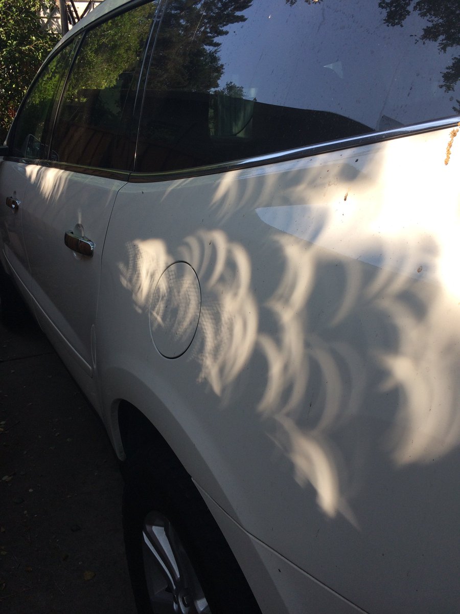 #Eclipse2017 Not as dramatic as totality but still fun - in Bay Area we felt cooling and saw crescent shadows cast by leaves