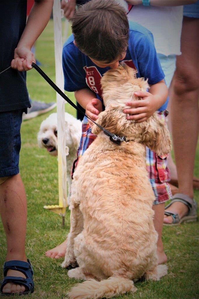 PottersPoint's tweet image. BEST IN SHOW!! The magic of kids and dogs🐾..sports day here last weekend-great fun! #dogsoftwitter #brittasbay #wicklow #mobilehome