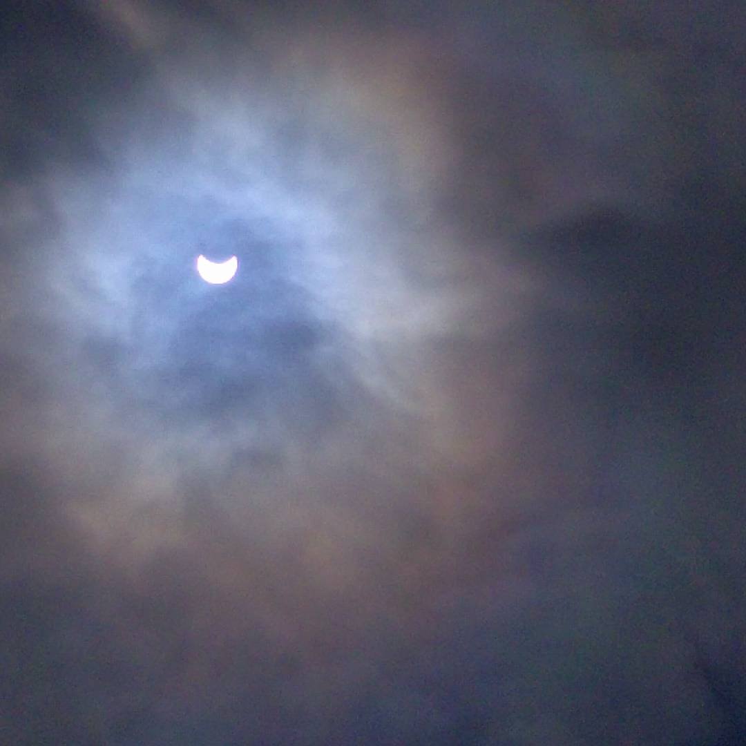 gilroyll's tweet image. 