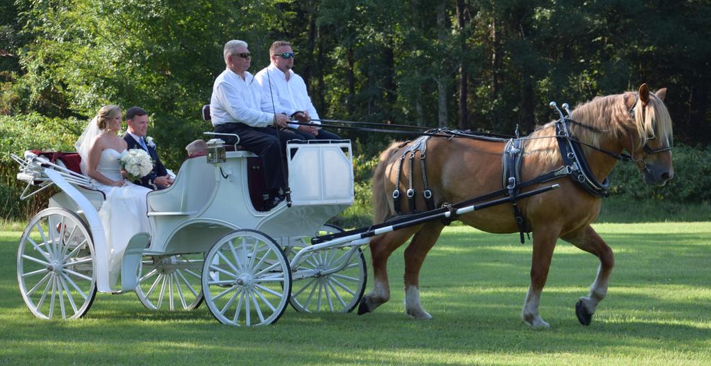 AlturiaFarm's tweet image. Henley Ever After..nothing short of a fairytale! Congratulations Pete &amp;amp; Caitlin! #rvaweddings #richmondweddings #alturiafarm