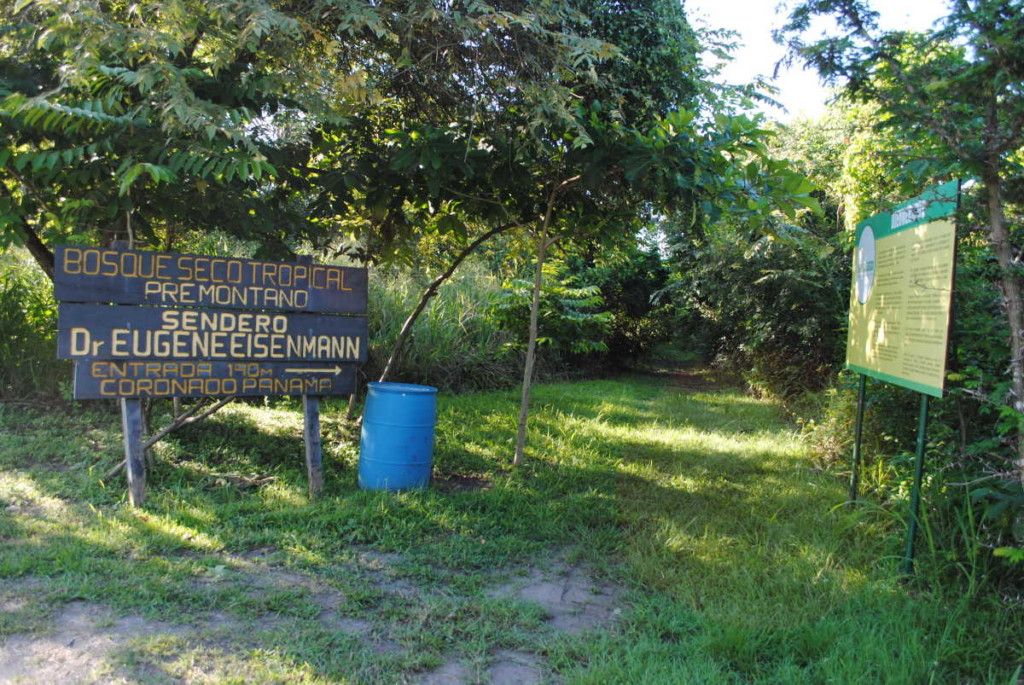 NSidePanama's tweet photo. The Dry #Forest in #Coronado, #Panama https://t.co/f4Uizinriu #insidepanama https://t.co/OXQBGhVHX8