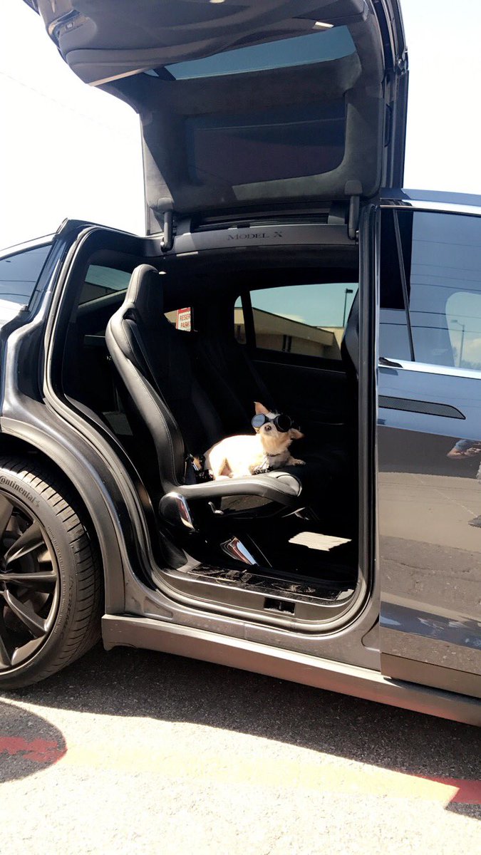 Brody_Rios1's tweet photo. @elonmusk Space Dog X ... @elonmusk https://t.co/PKRrl8js08