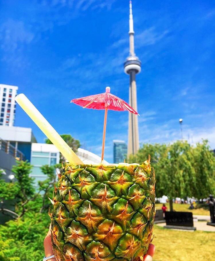 Stop by the Canadian National Exhibition this week for some Tropic Love! 🍉🍍💙