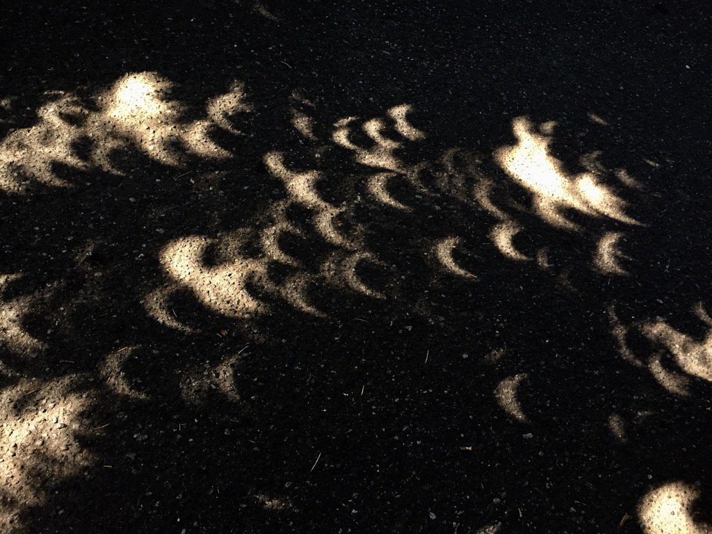 Trees create their own images of the #SolarEclipse2017 #Eclipse