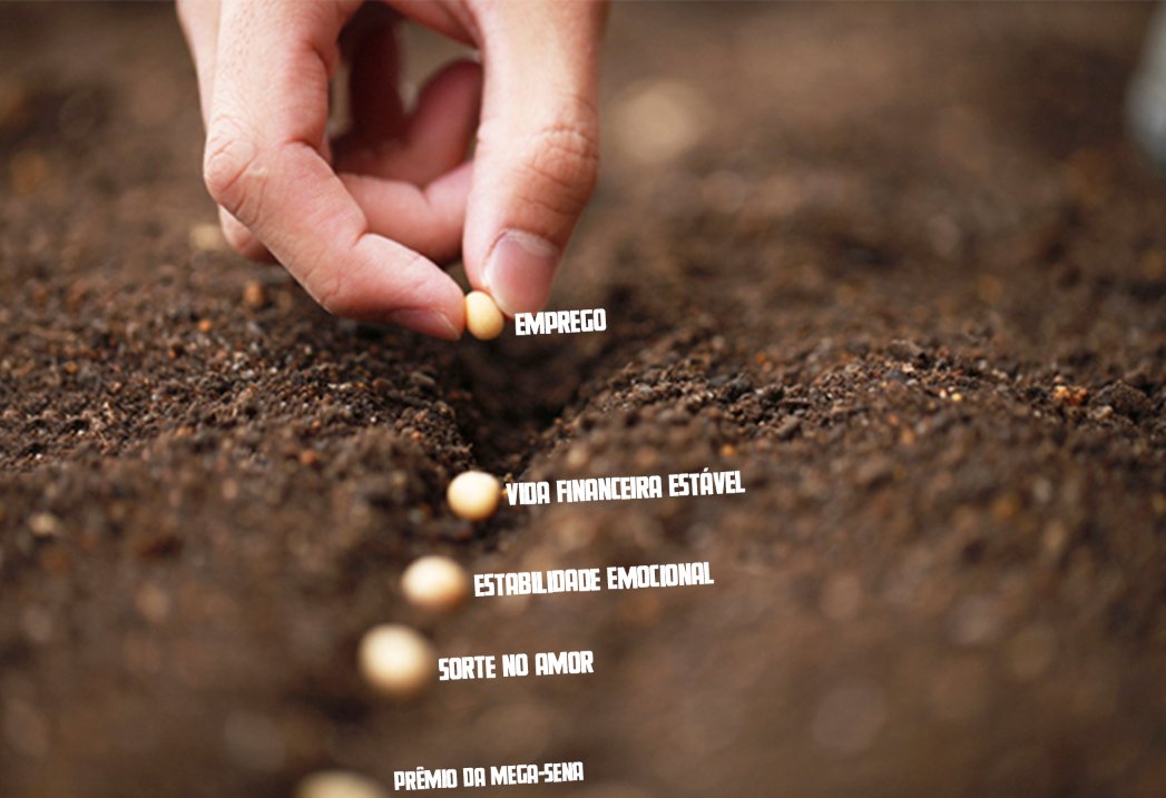 iLehonardo's tweet image. "Você colhe tudo aquilo que você planta"