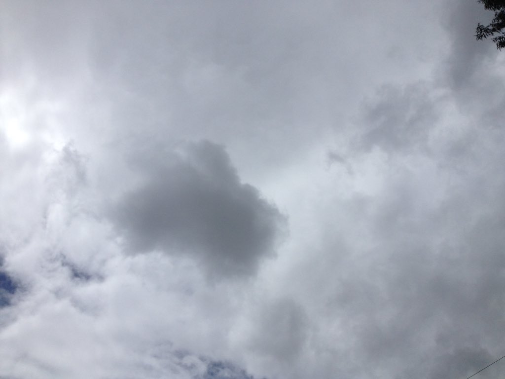 Pablo_Cala's tweet photo. #EclipseSolar2017 en Bogotá ya está pasando, solo que quien tapa a el sol no es la luna sino una nube #eclipsememes #total_eclipse https://t.co/WFTuaseEDV