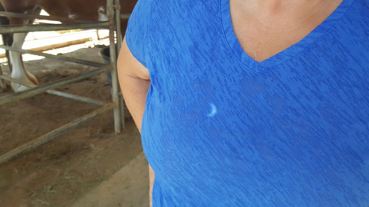 USACPF's tweet photo. A pin hole in the barn. unreal.
#gilbert
#Az.
#USACPF
#Clydesdales
#SolarEclipse2017 https://t.co/flokRDgASO