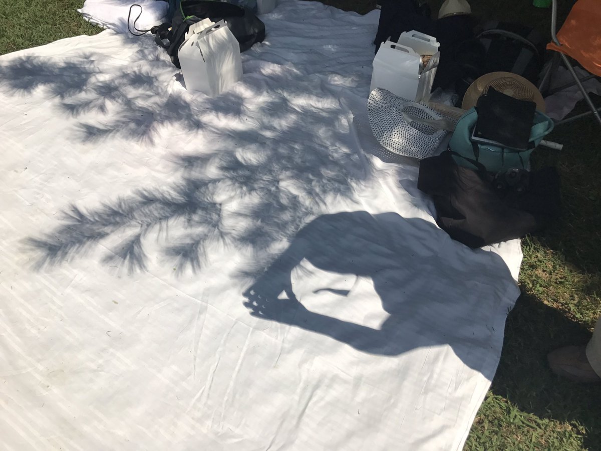 Natural pinhole cameras capturing solar crescents #GallatinEclipse #2017eclipse