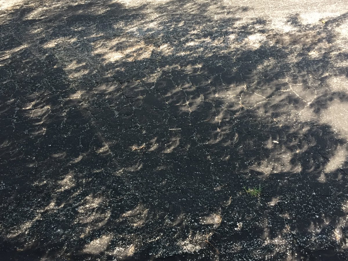 KevinMReilly's tweet photo. 28 hours driven for 2 minutes.  So worth it! Those crescents were shot minutes after totality in a tree's shadow!! https://t.co/CKRX0ILzPm