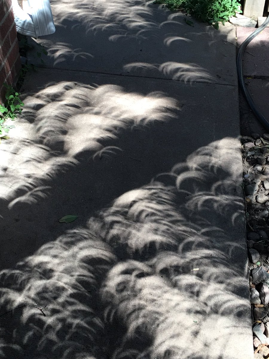 tenacity_4's tweet photo. #EclipseShadows https://t.co/RH7WQiVGaN