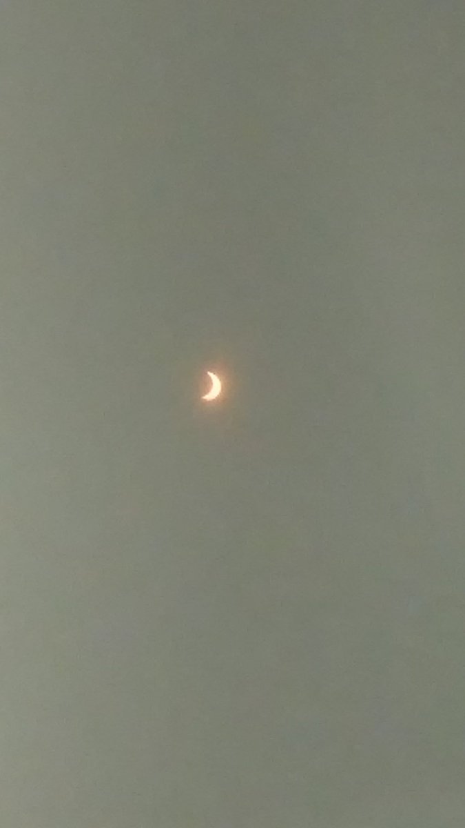 RKhosravipour's tweet photo. 2017 Solar Eclipse as see through a phone camera and pin hole box #vctlc #SolarEclipse2017 #usd262 https://t.co/7bvWQkU02h