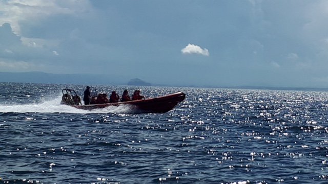 For more info, sailing times for trips and online booking can be found on the website. isleofmayboattrips.co.uk
Or Call 07473 631671