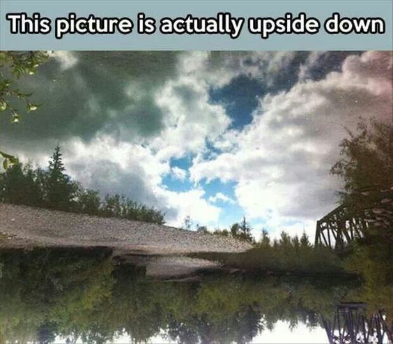 YardProduct's tweet image. Woah! 0.o #landscapinghumor #gardeninghumor