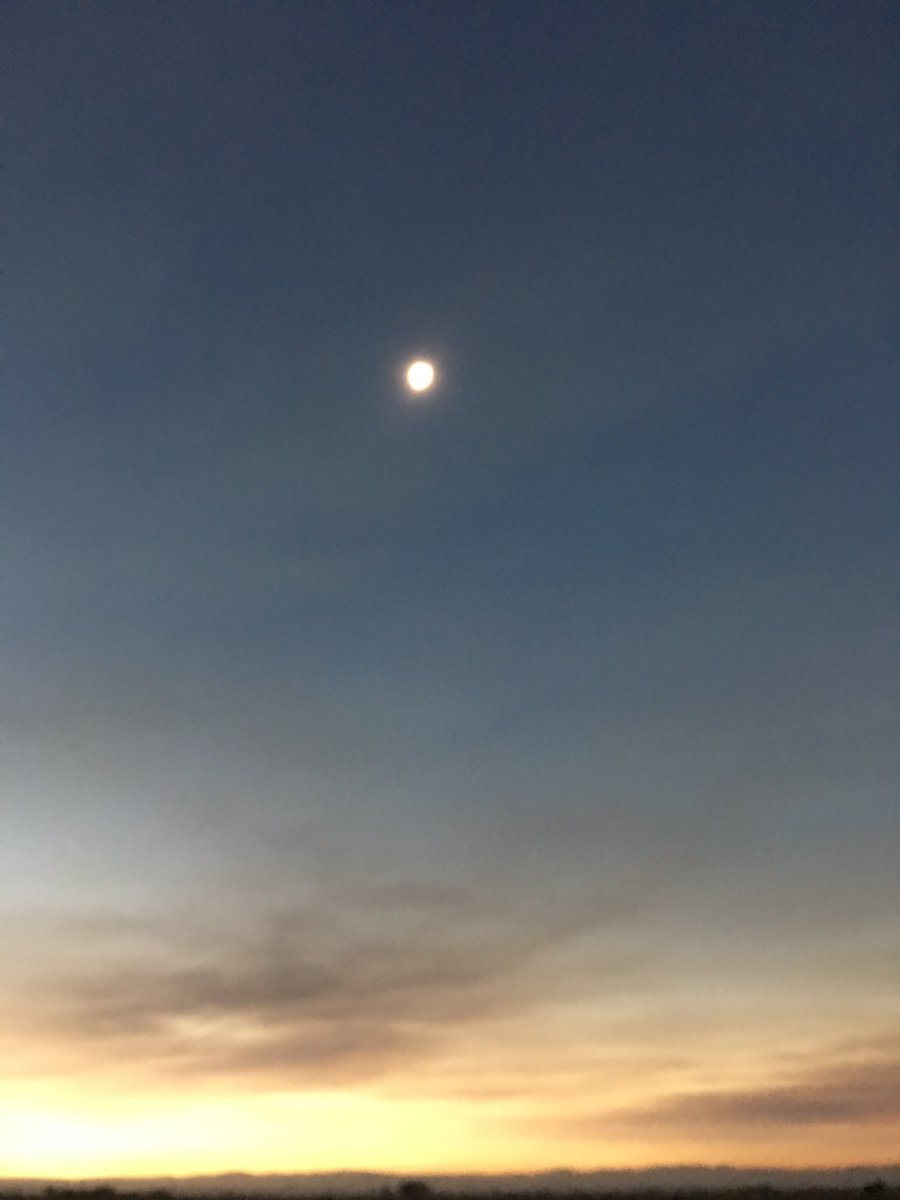 Buffalowing's tweet photo. An appropriate post #eclispe2017 beer @fremontbrewing @DennyConn1 https://t.co/sysQxo4Apl