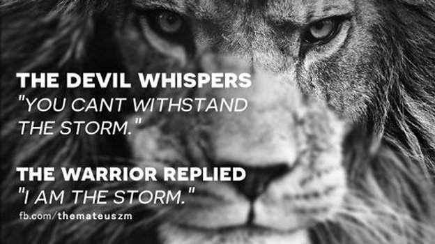 Qetsiyah S tweet media