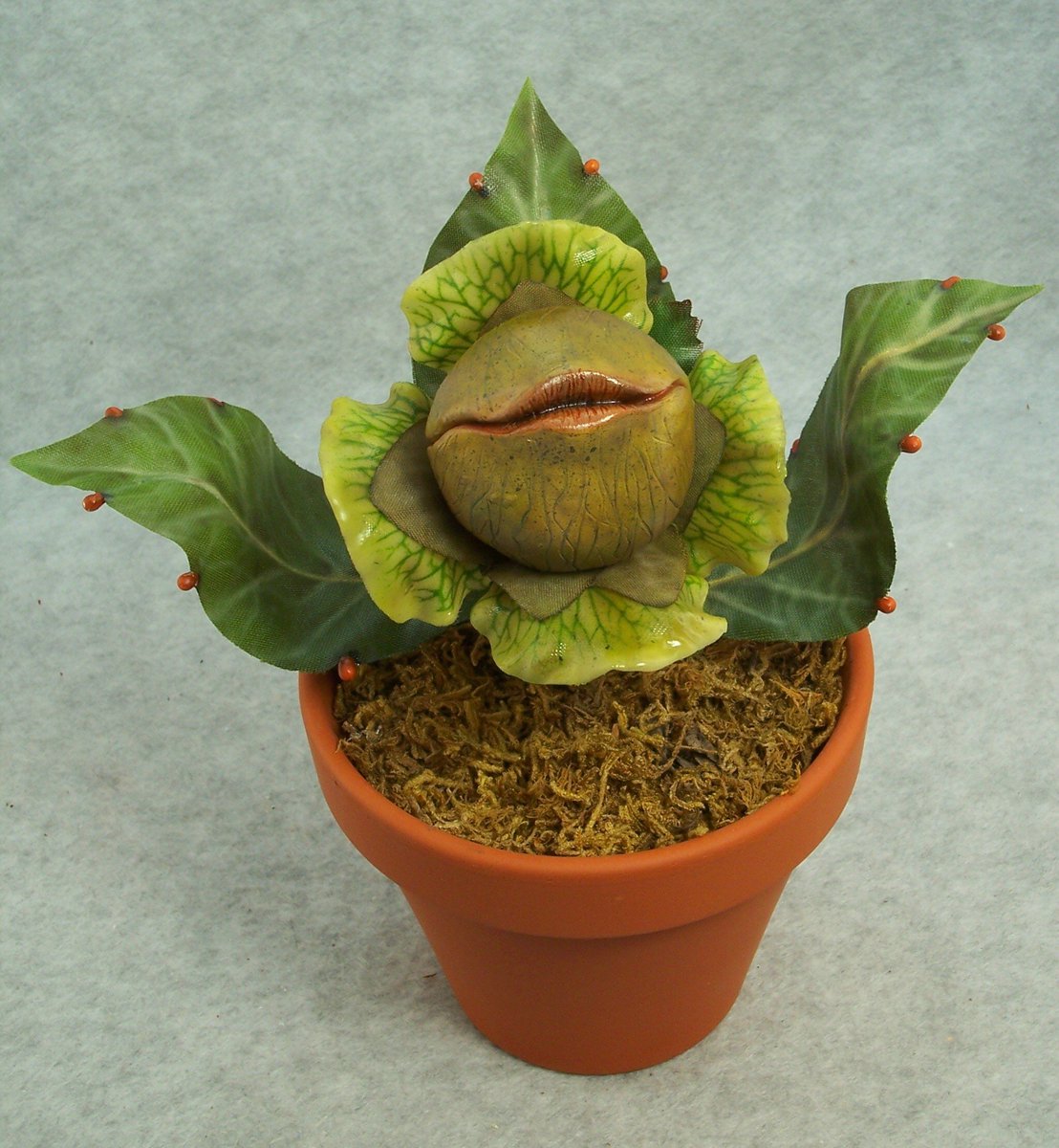 Anyone else notice these strange and unusual new plants that are popping up? #Eclipse2017