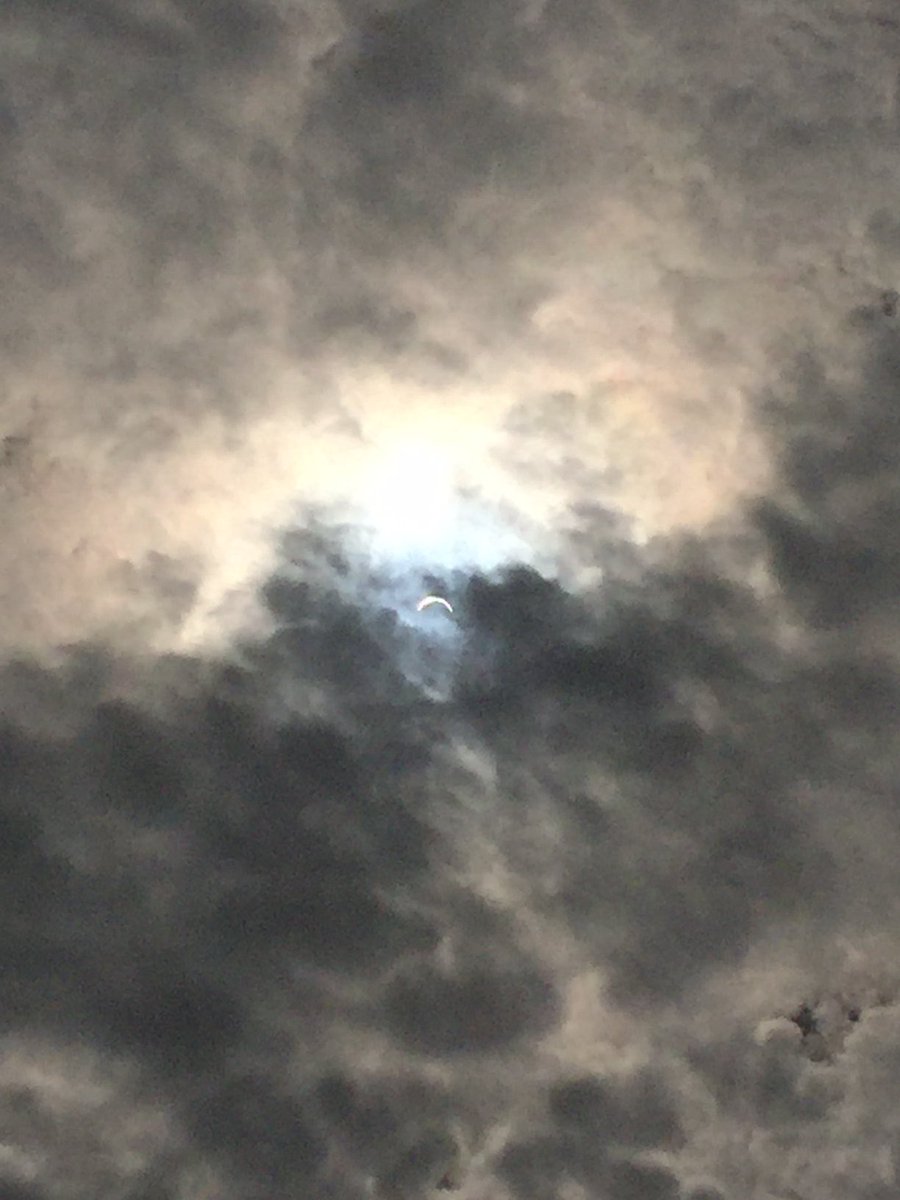 Selvaggio Steel tweet media