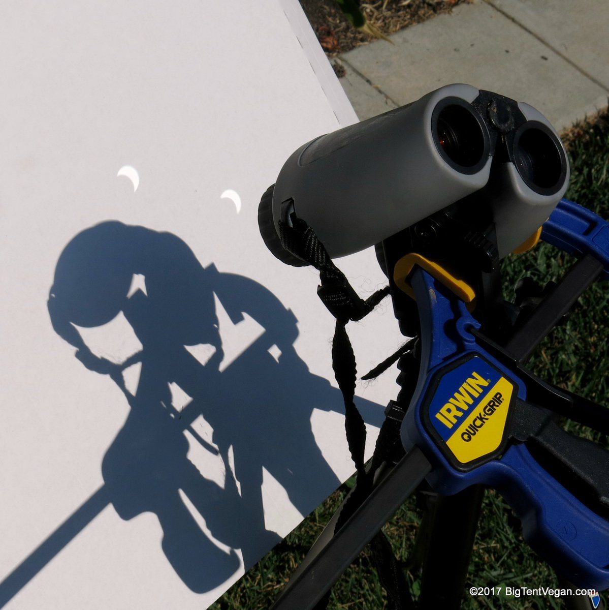 Big Tent Vegan Ⓥ (BigTentVegan) Twitter