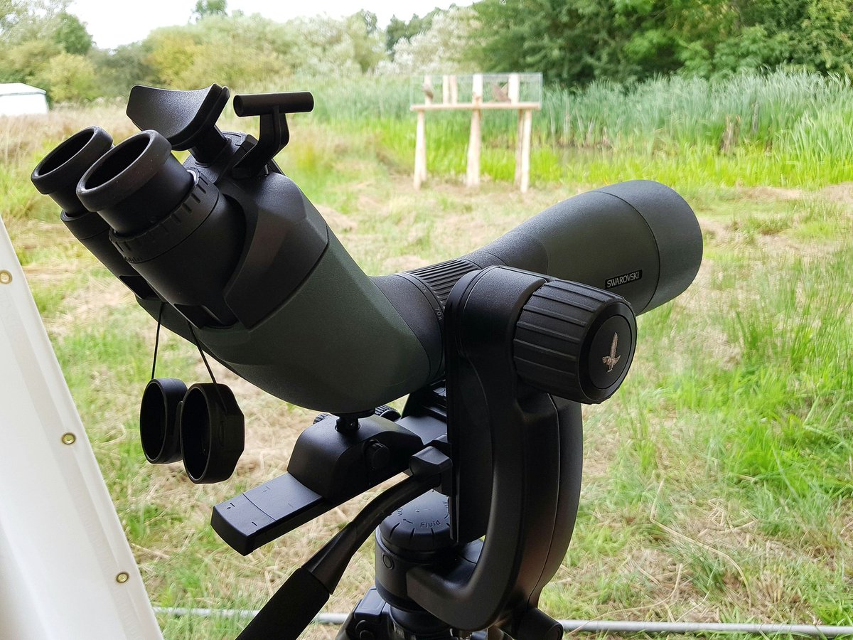 leeharris71's tweet photo. Tried a bit phone scoping through this @SwarovskiOptik BTX with S8+ #BirdFair2017 A bit too comfortable with the headrest though. #In2minds https://t.co/8NLp4z5c9t