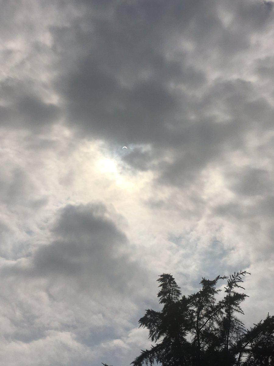 itsPlanty's tweet image. [ Light cloud cover let me get these photos!!! ] #eclipse17 #eclipseday2017