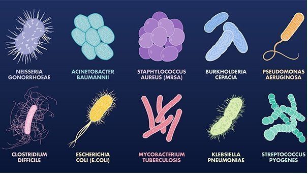 BIOTECH_SI's tweet photo. Conoce las 10 bacterias patógenas más peligrosas que ofrecen #resistencia a los antibióticos https://t.co/bBjrZp3U19 … vía 
@longitude_prize https://t.co/j5LaDD3YJA