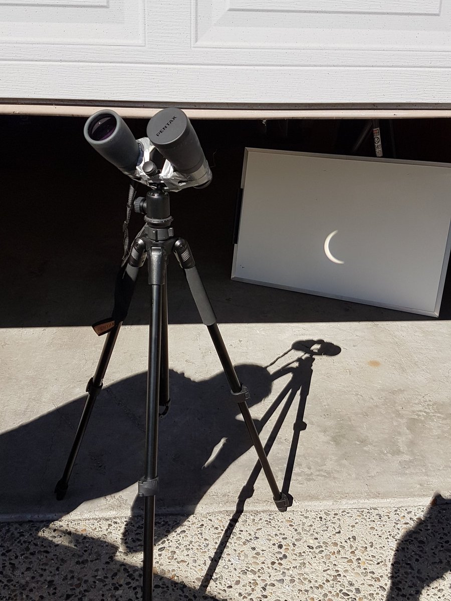 Chris Stein tweet media