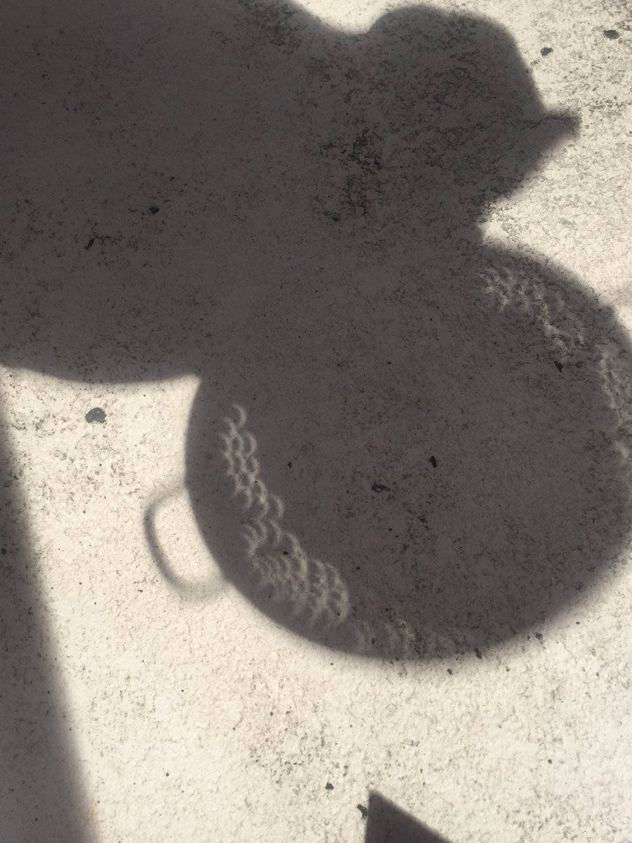 #eclipse2017 colander eclipse crescents Bradenton Florida