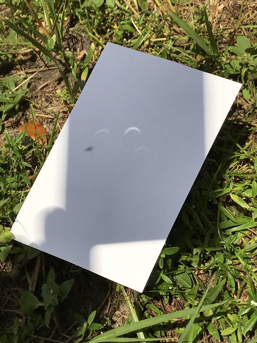 Waited too long to get solar glasses but the pinpoint projection really worked well! #SolarEclispe2017