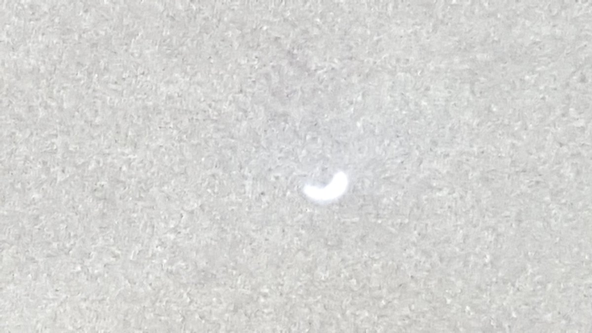 mrtrossello's tweet photo. Some eclipse pics! #eclipse2017 #pinholeviewer https://t.co/Z4xcG8UawP