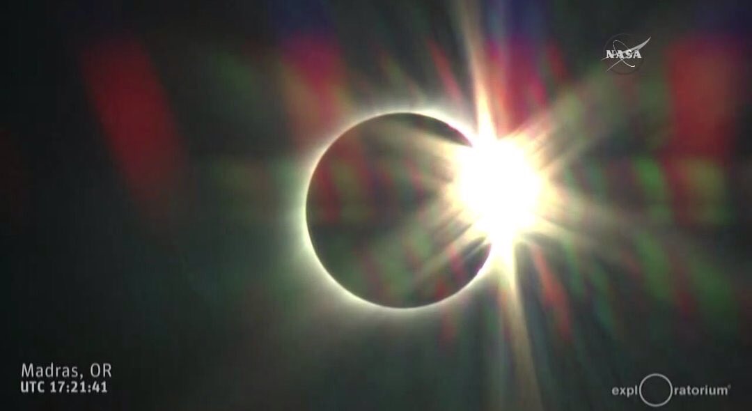 soyeldino_'s tweet photo. #SolarEclipse2017

En México | El resto del mundo. https://t.co/l8q6DLOLgG