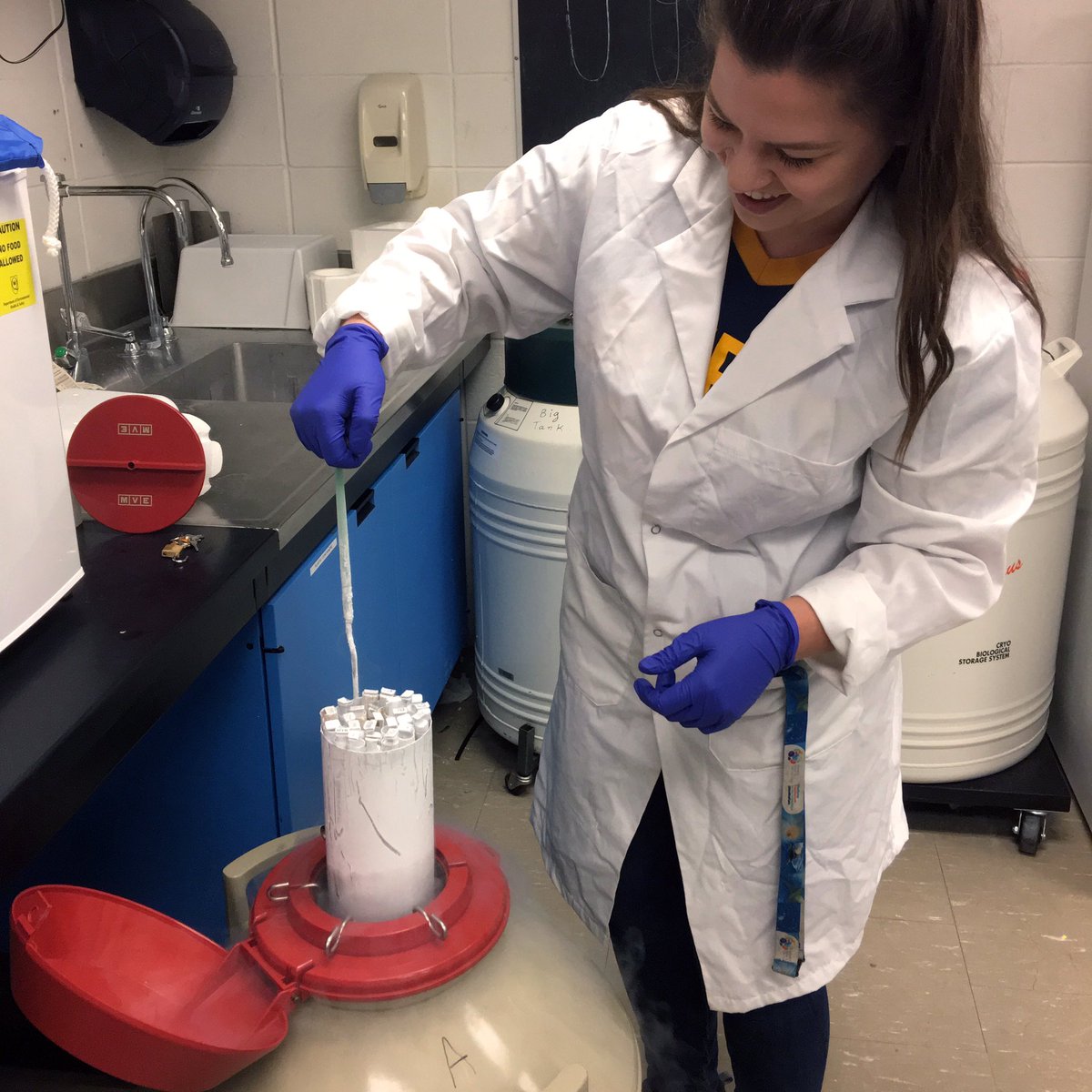 KingstonRIOT's tweet photo. Liquid nitrogen! #TissueCultureCrashCourse #TCCC https://t.co/WLa1zSyUnZ