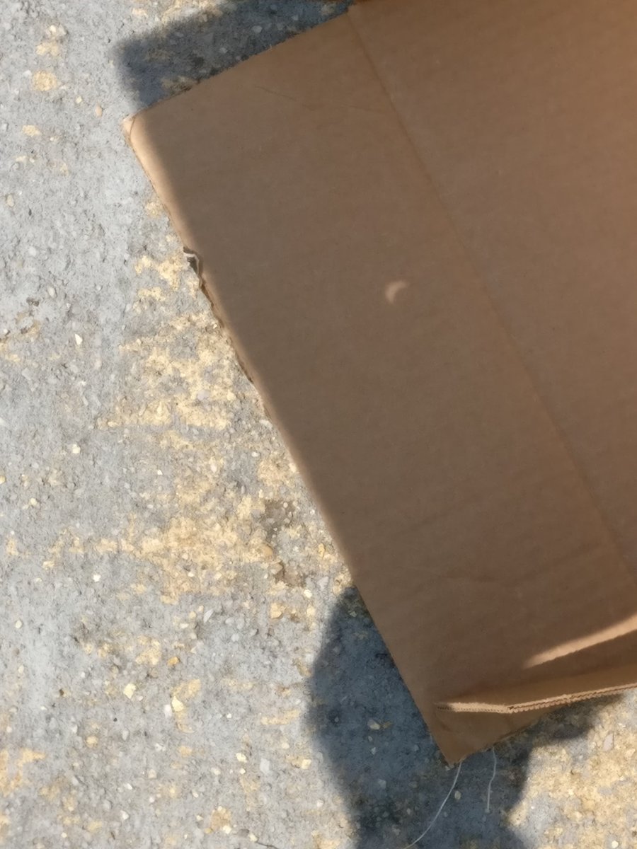 hardcoverhaven's tweet photo. #Eclipse2017 #SolarEclipse #EclipseDay #pinholecamera #EclipseDC https://t.co/dH9dic8mok