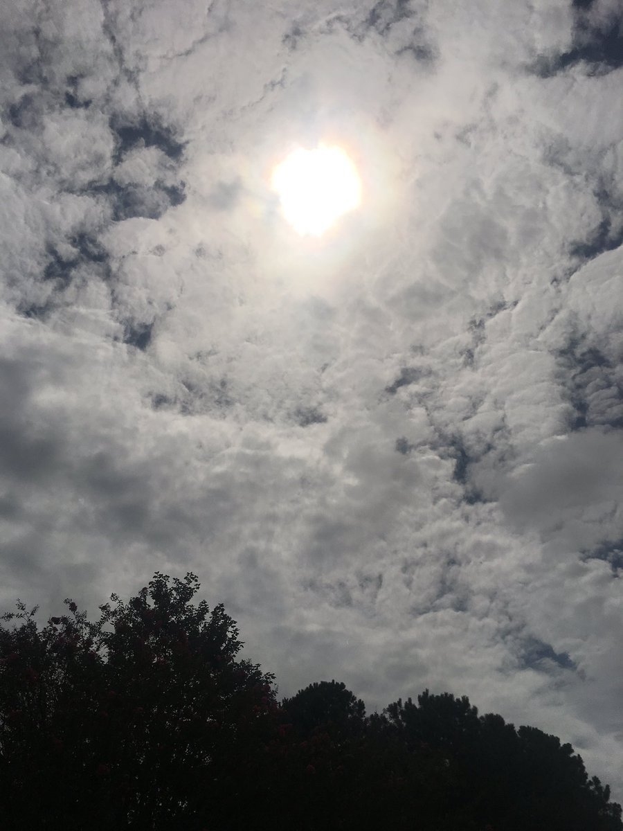 tearaschaffer1's tweet photo. @Live5News https://t.co/ETrxQiy6HX