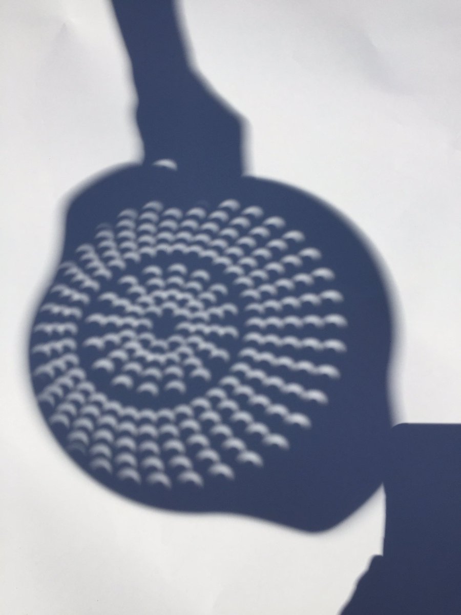 TechTots's tweet image. Lunchtime outside! #ksdeclipse