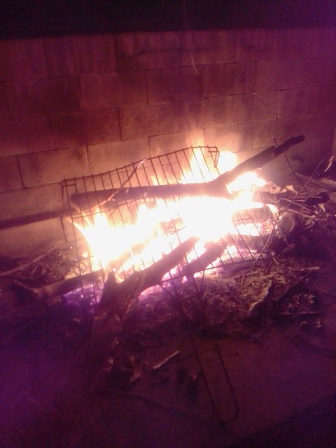 ElsRoders's tweet image. MAGRETÀ DE PATO