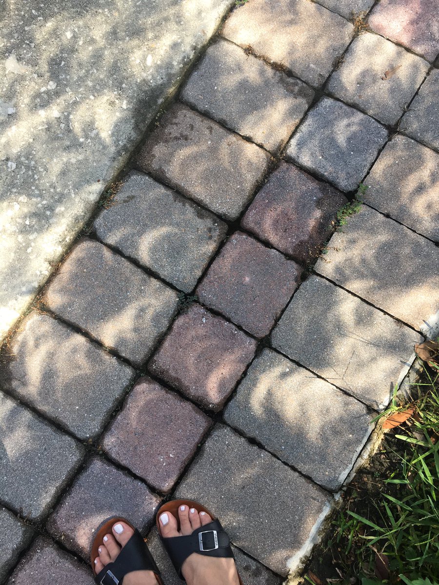 TravelBlggr's tweet image. Ooooh! Crescent shaped shadows! 🌝🌔🌓🌒🌑🌘🌗🌖🌝#EclipseTODAY #Eclipse17