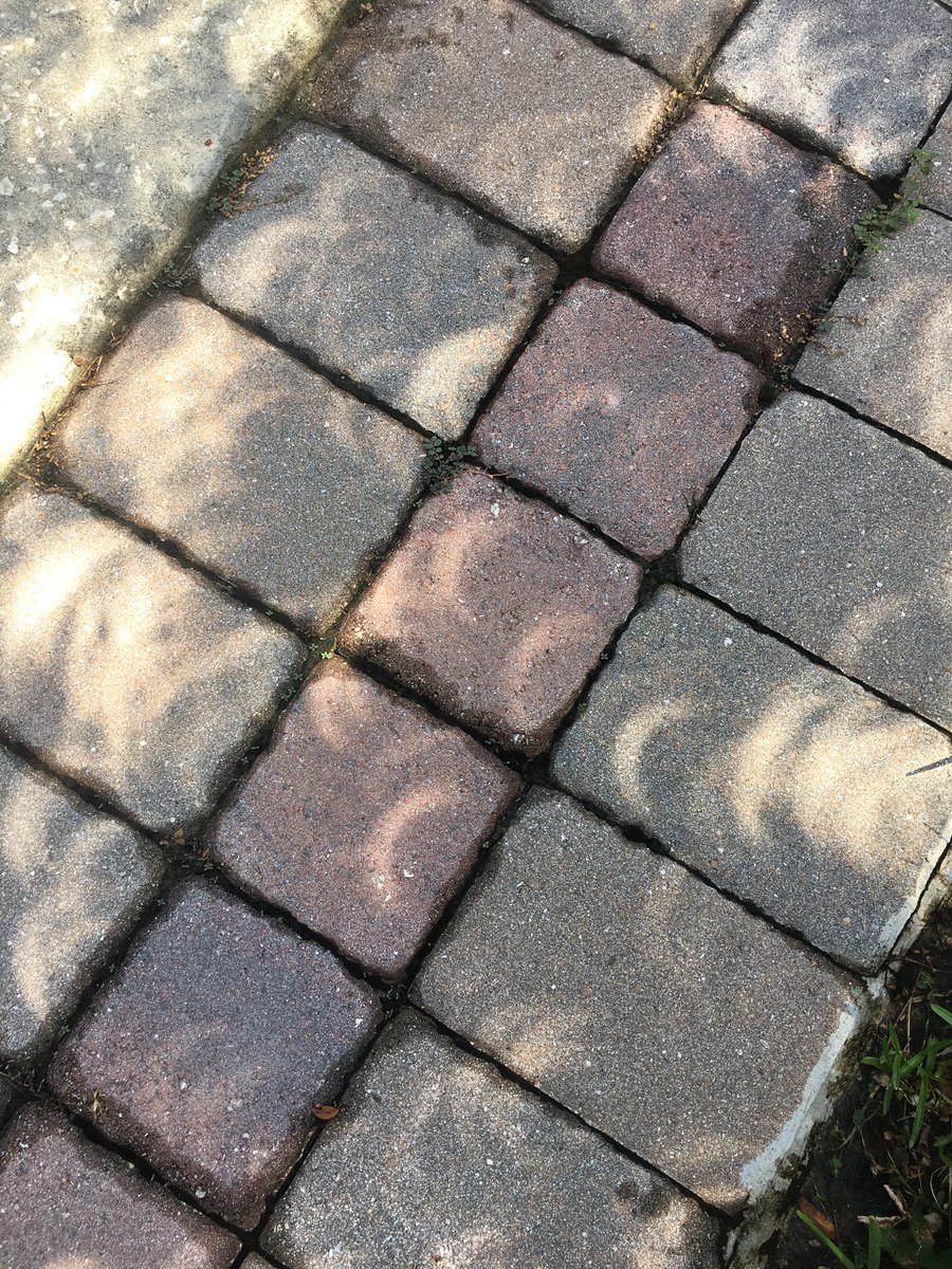 TravelBlggr's tweet image. Ooooh! Crescent shaped shadows! 🌝🌔🌓🌒🌑🌘🌗🌖🌝#EclipseTODAY #Eclipse17