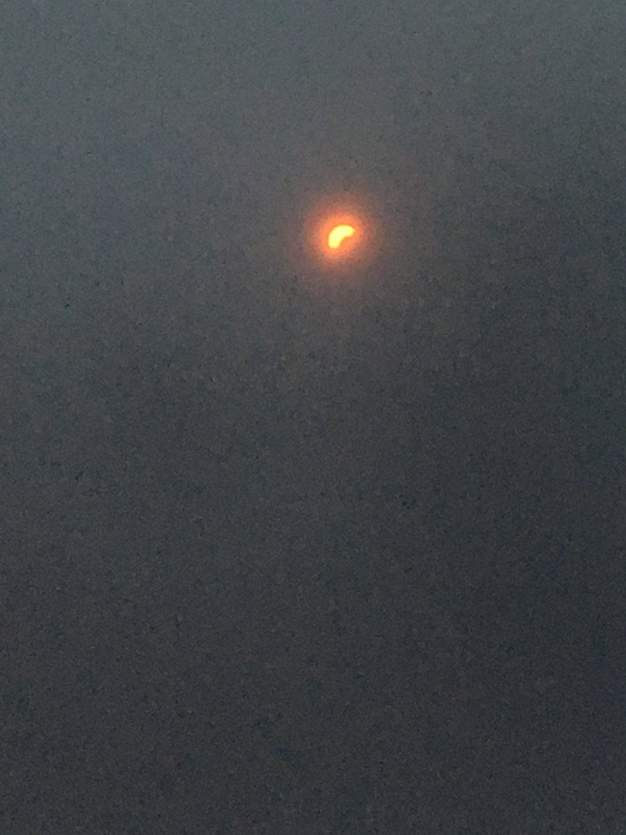 UNCWVolleyball's tweet image. The Dub Life #2017solareclipse