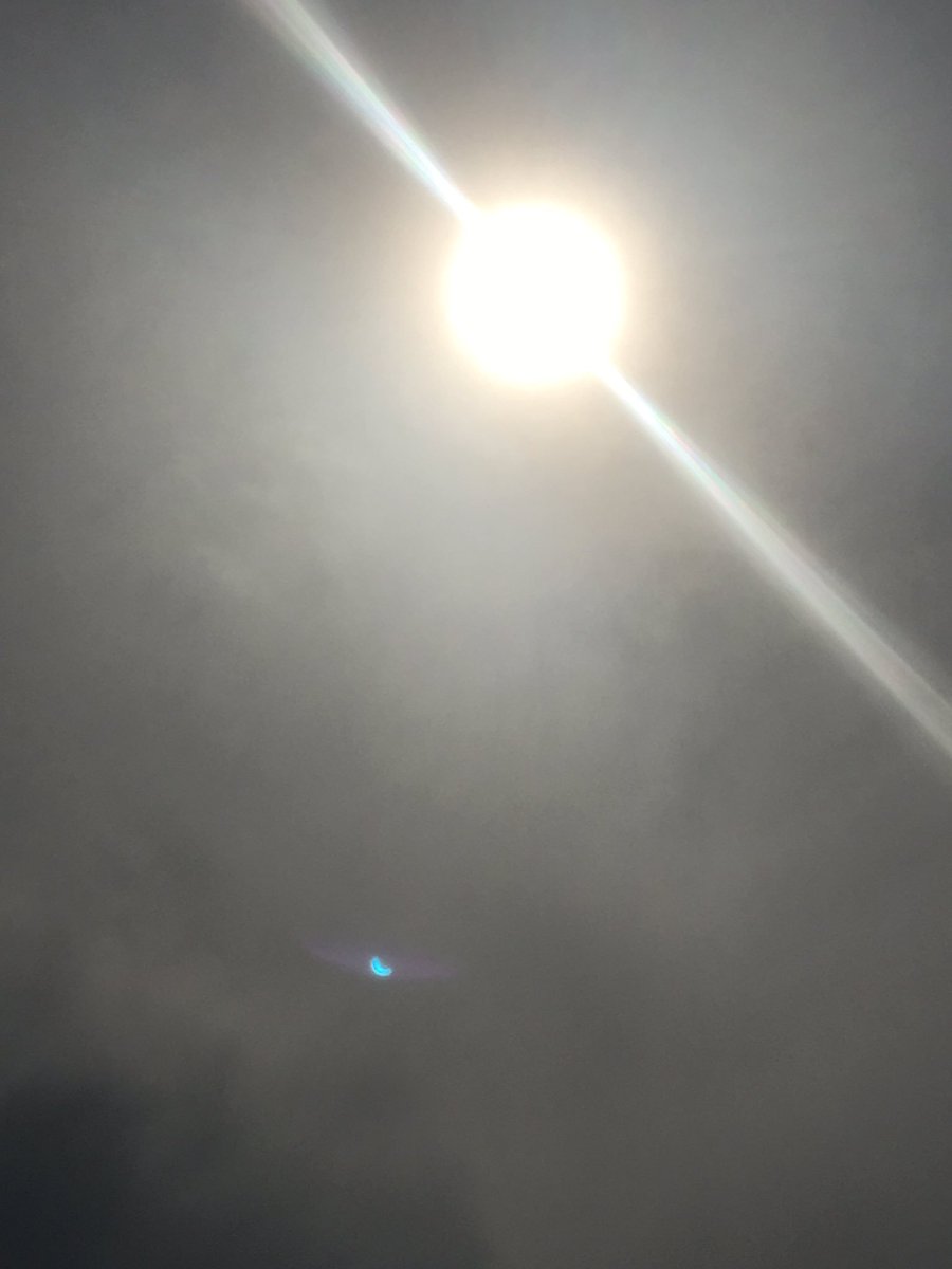 UNCWVolleyball's tweet image. The Dub Life #2017solareclipse