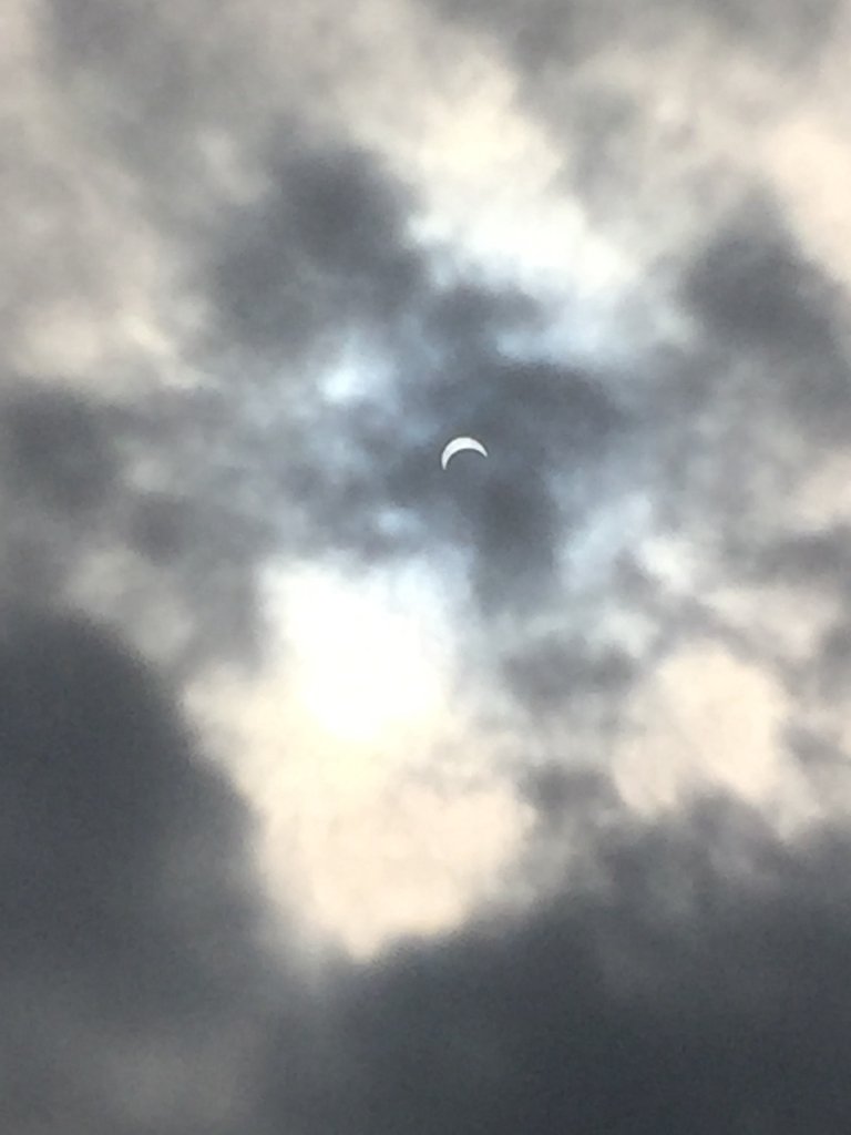 halfspell's tweet image. 