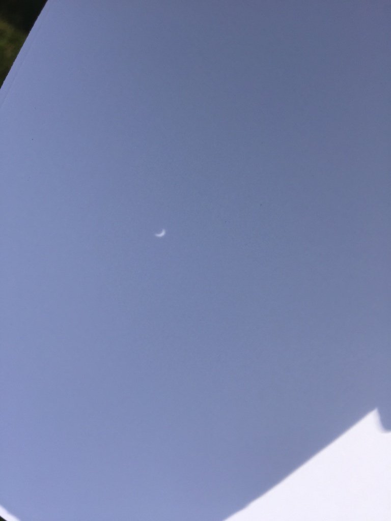 halfspell's tweet image. And with my pinhole viewer. #Eclipse2017