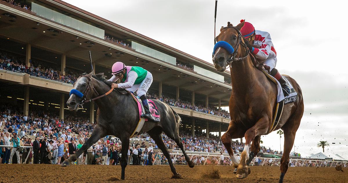 chinesestuff's tweet photo. Collected Outlasts Arrogate in Pacific Classic #BCSweepstakes #WinAndYoureIN - https://t.co/Mr9m7RvXdJ https://t.co/4wYU0hyNuk