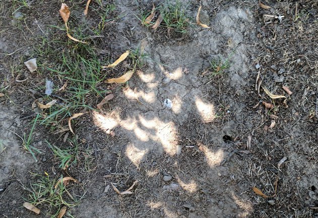 TeachSpin, Inc. tweet media