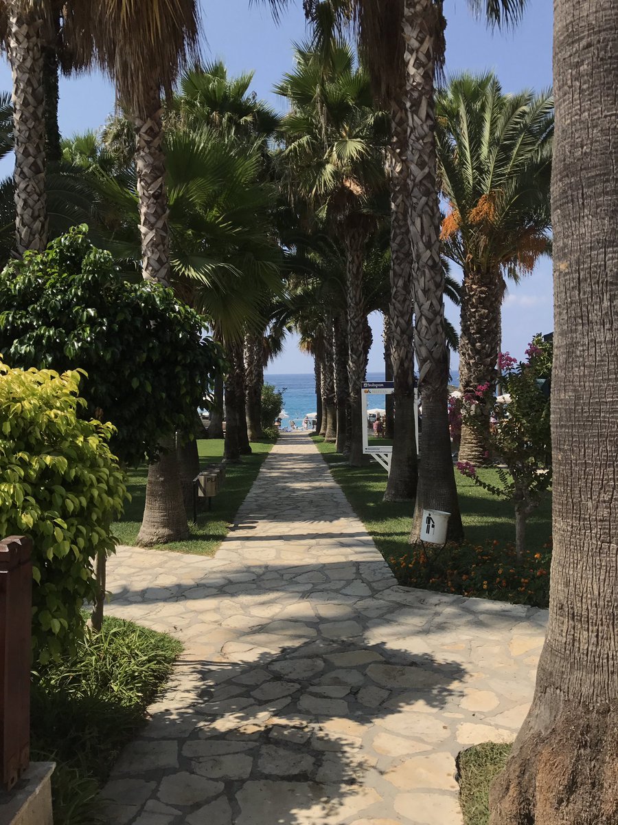Polinka_Mil's tweet photo. Никогда не перестану любить Турцию😻🌊🌊🌴🌴😻 https://t.co/PCu59cvJrl