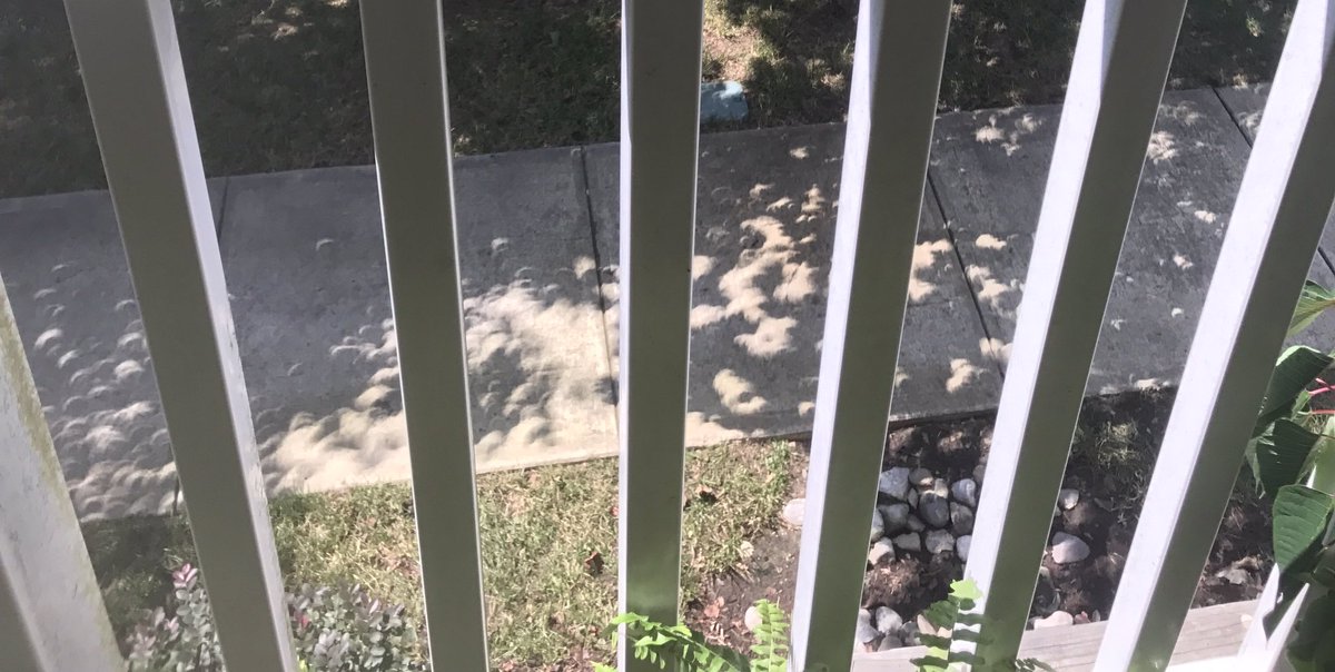Star_enilnO's tweet photo. A bunch of little eclipse shadows off my porch. lol #EclipseSN @CAsburyVillage https://t.co/nyHLlp5Lzg