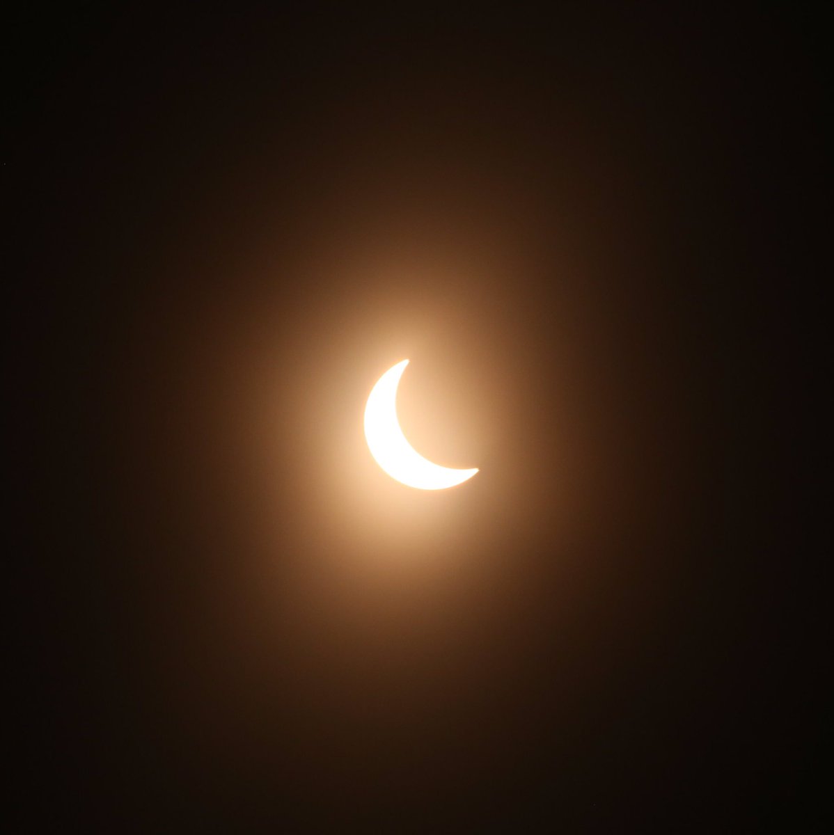 allblueeva's tweet photo. and that's what a solar eclipse looks like https://t.co/MKnlkhEST4
