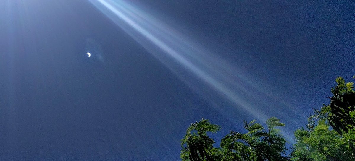 krisstiandelara's tweet photo. Solar eclipse in Miami 🌘🌴
#SolarEclipse #floridaeclipse #amazing #SolarEclipse2017 #beautiful https://t.co/0HFM5PGmTB