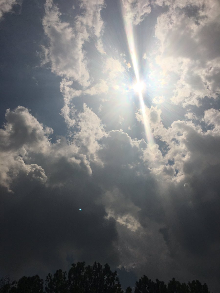 We had a "Cub-Tastic" time watching today's Solar Eclipse!